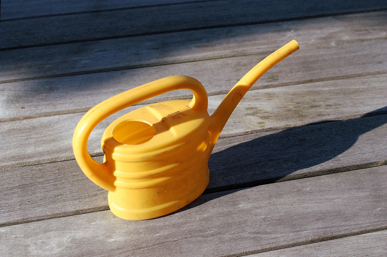 Innaffiatura errata delle piante, evidenziando il rischio di eccesso d'acqua.