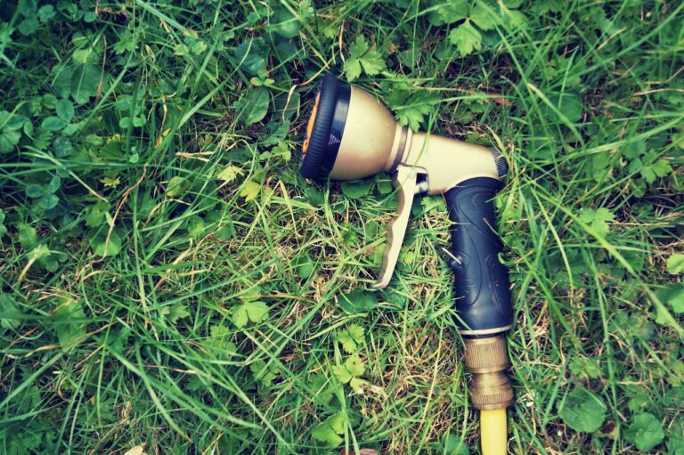 Diserbante naturale fai-da-te: ecco il metodo semplice per un giardino impeccabile in pochi minuti