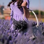 Fiori di lavanda essiccati in un vaso, simbolo di bellezza e durata nel tempo.