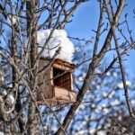 Rifugio per uccelli invernale realizzato con materiali semplici, posizionato tra gli alberi.