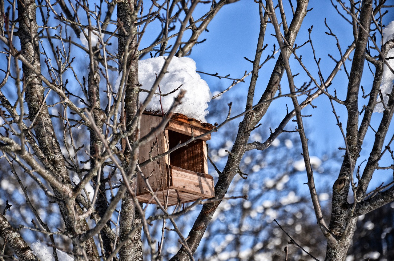 Rifugio per uccelli invernale realizzato con materiali semplici, posizionato tra gli alberi.